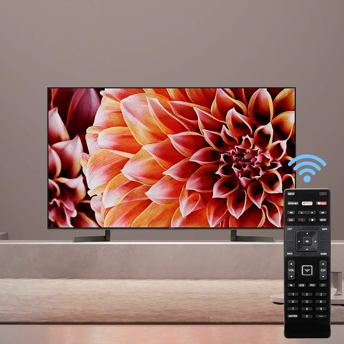 XRT122 Universal Replacement Remote Control for All Vizio E-Series D-Series LED HDTV Smart TV: Home Audio & Theater