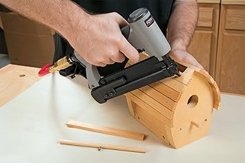 https://images-na.ssl-images-amazon.com/images/I/711QmlumM7L._AC_SX355_.jpg