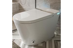 ARRISEA Smart Toilet with Bidet Built in, Foot Sensing Modern Toilet Bidet Combo with Auto Flush, Remote Control Warm Water, Elongated Heated Bidet Seat, Dryer, Built-in Water Tank, LED Light