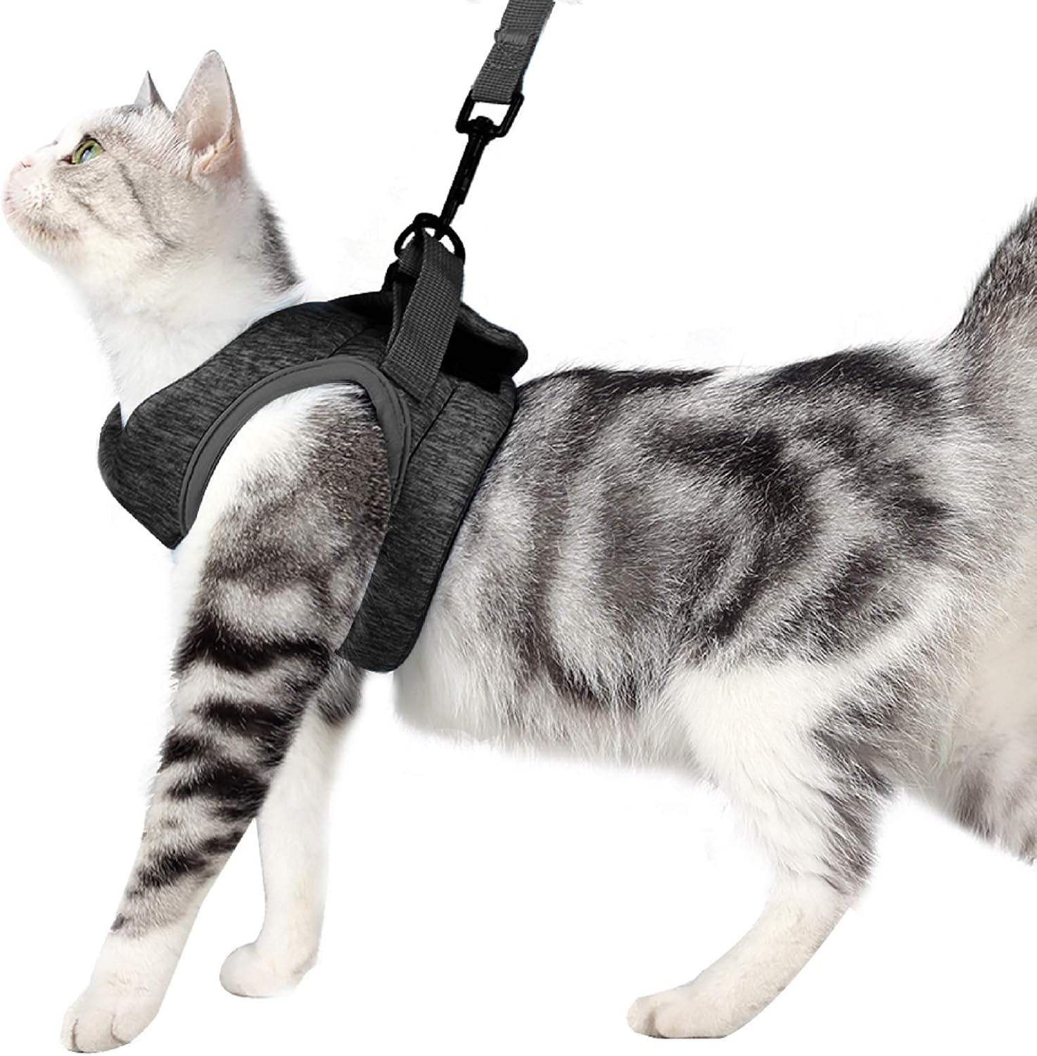 Cat Harness Leash Straps Soft and Comfortable Cat Walking Jacket with Running Cushioning and Escape Proof for Puppies with Cationic Fabric