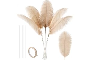 Soarer Champagne Large Ostrich Feathers - 10Pcs Making Kit 34inch Extra Large Ostrich Feathers Long for Tall Vase,Floral Arrangement,Wedding Party Centerpieces and Home Decoration(Champagne)