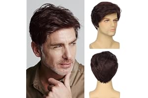 Tereshar Mens Wig Drak Brown Wigs Short Layered Synthetic Heat Resistant Hair Replacement Wigs for Daily Halloween Costume Party Use (Dark Brown)