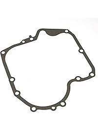 Briggs & Stratton 697110 Crankcase Gasket 015