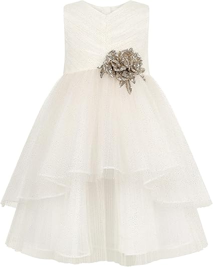 monsoon glitter rose dress