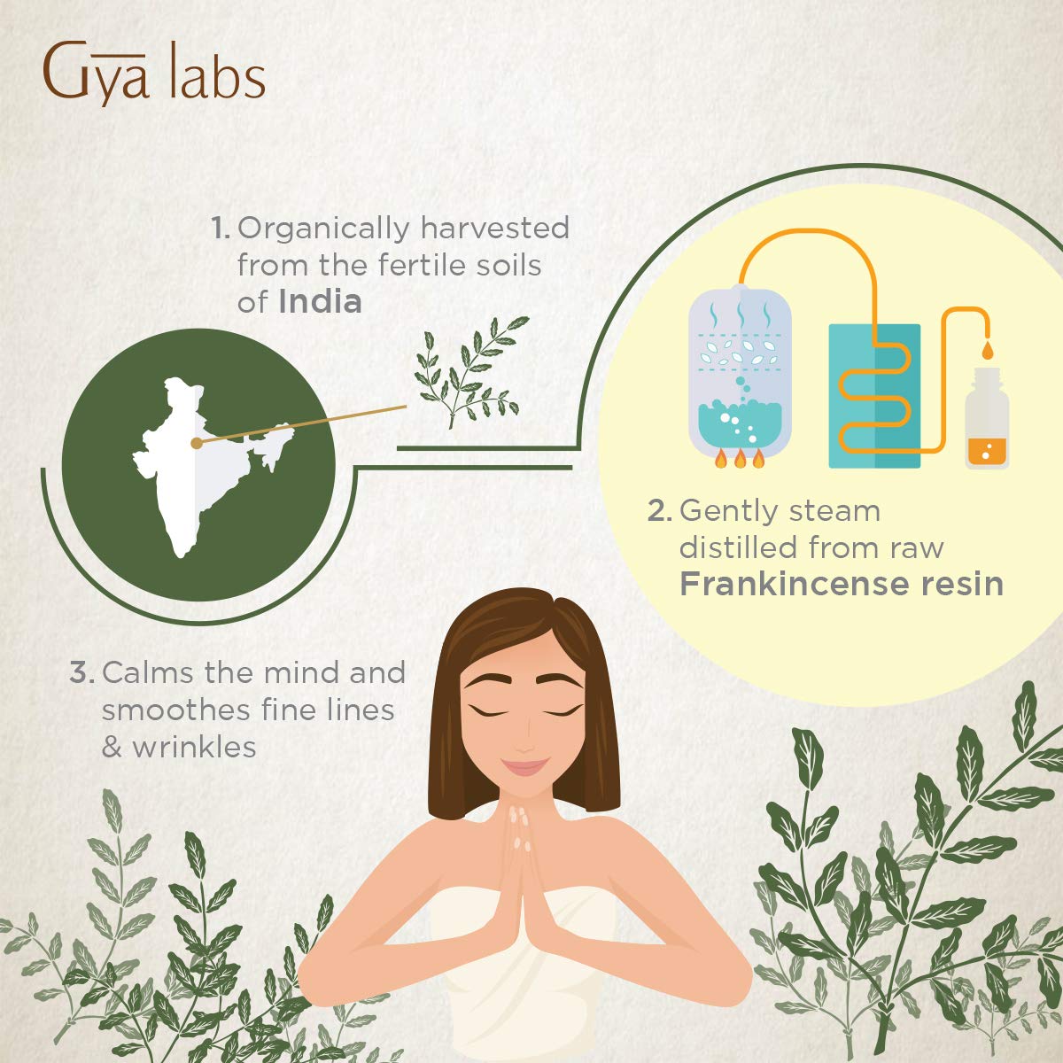 Gya Labs Organic Frankincense Essential Oil for Meditation & Relaxation - Natural Skin Care for Fine Lines, Wrinkles & Sensitive Skin - 100% Pure Therapeutic Grade for Aromatherapy & Topical - 10ml : Beauty