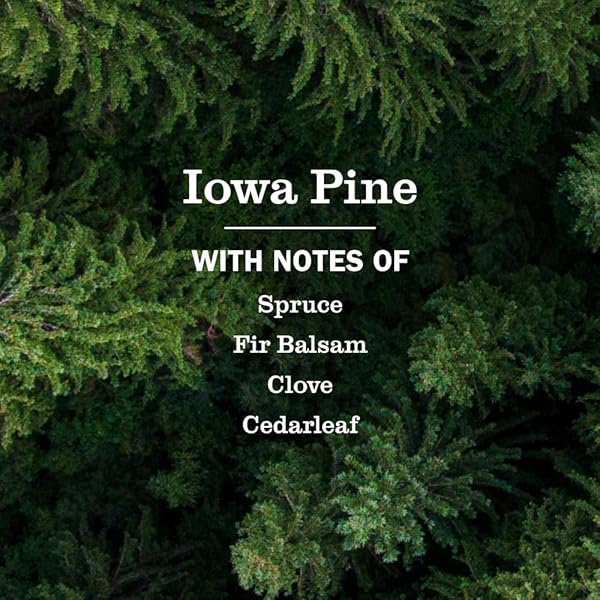 MRS. MEYER’S CLEAN DAY ALL-PURPOSE CLEANER SPRAY, LIMITED EDITION IOWA PINE, 16 FL. OZ