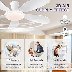 PHORUS 48" White Ceiling Fan with Lights and