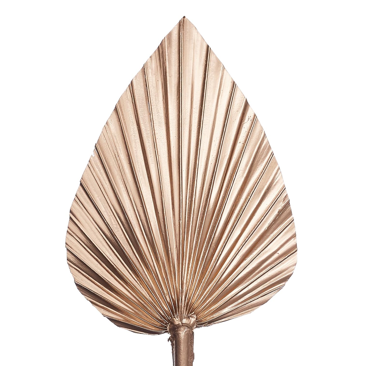 The Baked Studio - Dried Palm Leaf Leaves Palm Spear Cake Topper for Cake Decoration (Brilliant Gold)