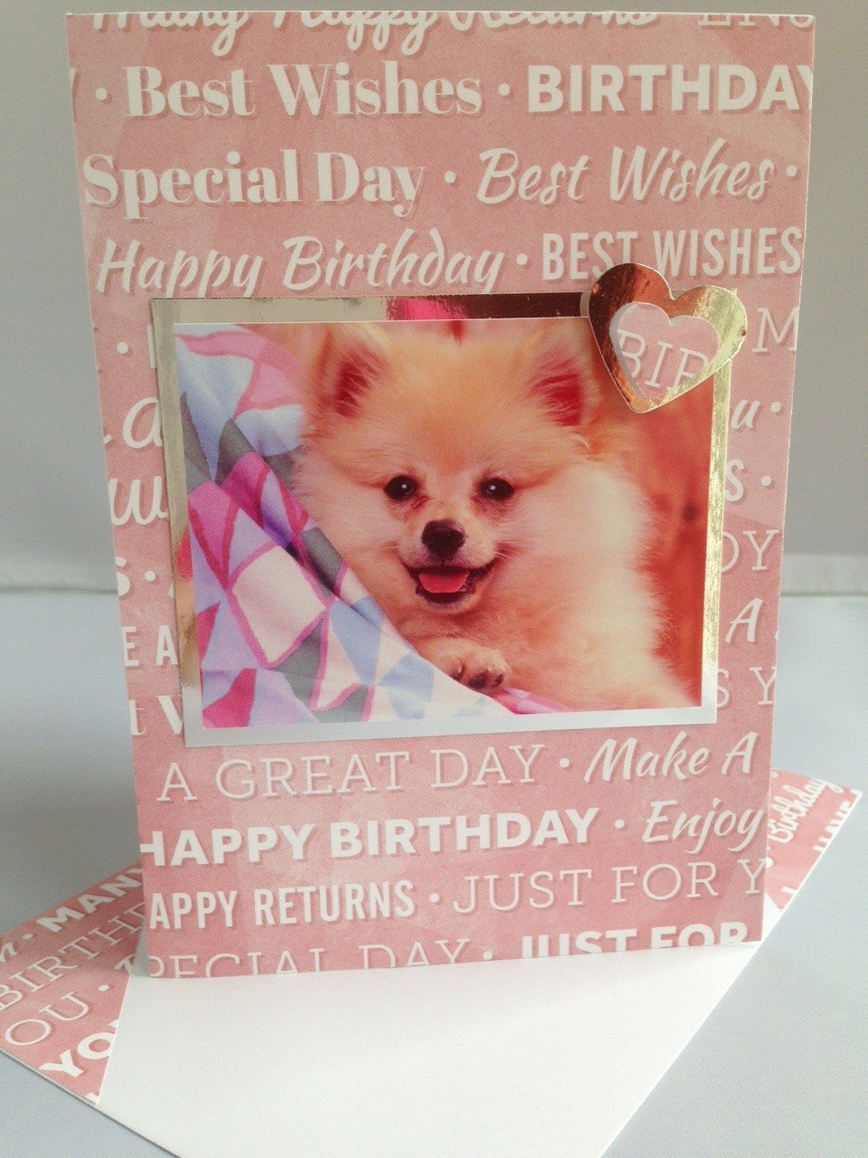happy birthday pomeranian