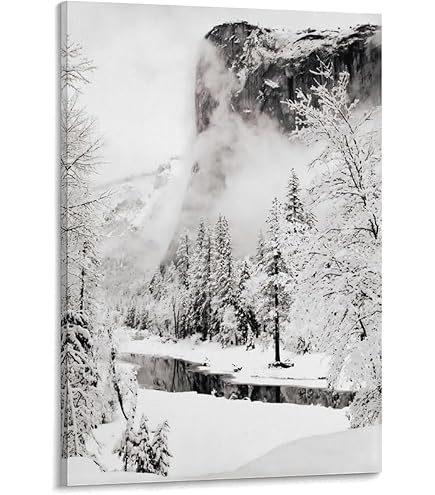 Amazon.com: Pine Forest in Snow, Yosemite National Park