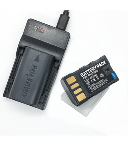 Amazon.com : Sunny Room Battery Charger for JVC Everio GZ-E10, GZ