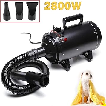 dog blaster dryer uk