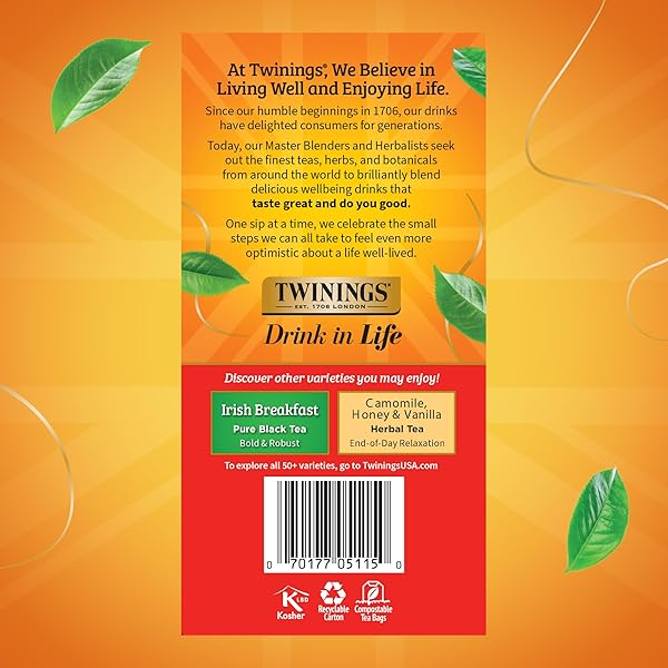 TWININGS ENGLISH BREAKFAST BLACK TEA INDIVIDUALLY WRAPPED BAGS, 50 COUNT (PACK OF 6), FLAVOURFUL, ROBUST, CAFFEINATED, ENJOY HOT OR ICED, 300 TEABAGS