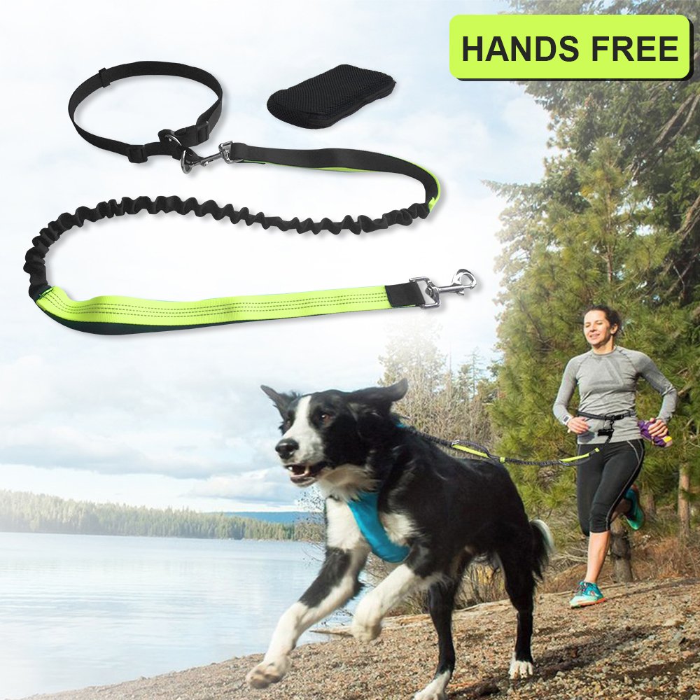Roadwi Hands Free Dog Leash, Dual Handle Bungee Leash for Shock Absorbing, Adjustable Waist Belt with Storage Bag for Running, Hiking, Jogging or Walking (Green)
