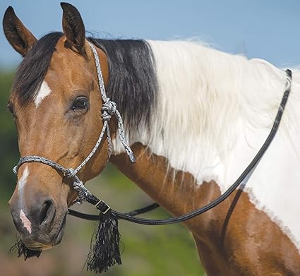 Amazon Com Mustang Deluxe Bitless Bridle Pet Supplies