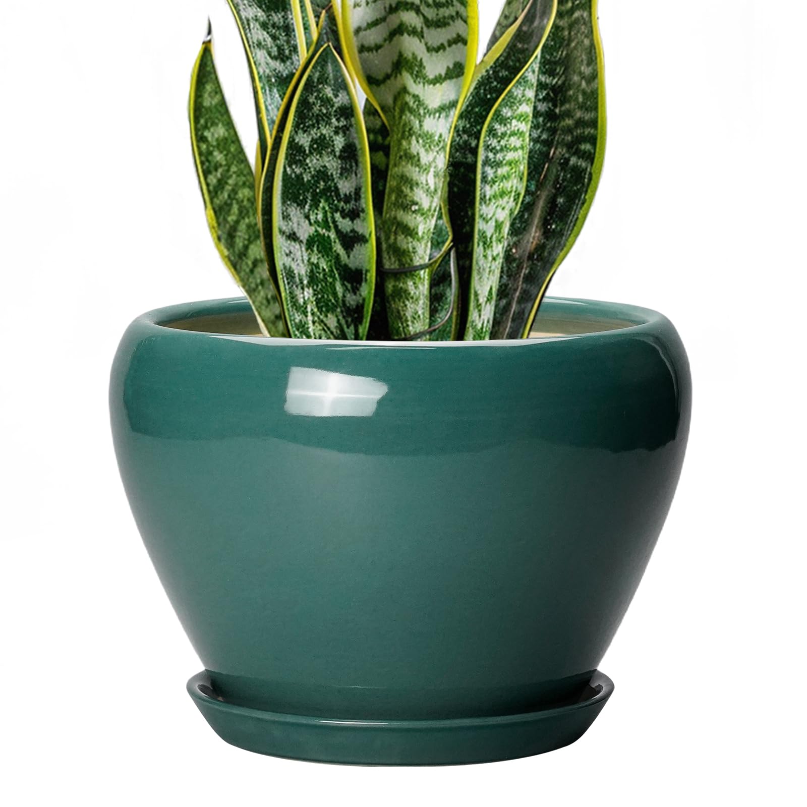 Ceramicfor 8 Inch Plant Pot - Ceramic Planter for Indoor Outdoor Plants, Glaze Modern Round Ceramic Flower Pot with Drainage Hole and Saucer, Gifts for Plant Lover, Home Office Patio Decor, Green Image