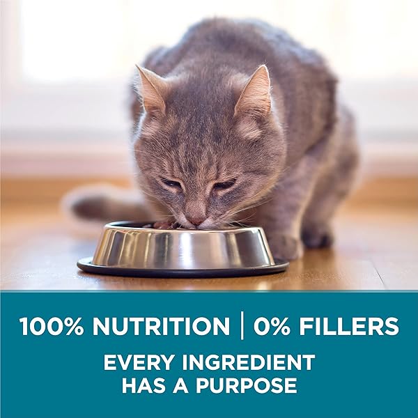 PURINA ONE NATURAL DRY CAT FOOD, TENDER SELECTS BLEND WITH REAL SALMON – 3.5 LB. BAG