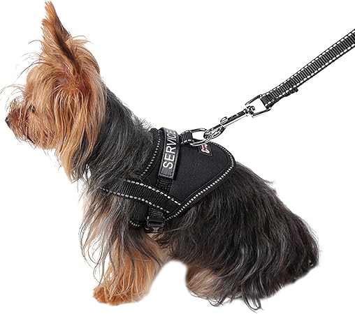 amazon service dog vest small