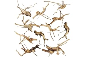 kathson Aquarium Driftwood Reptile Branches Wood Natural Spiderwood Driftwood for Aquarium 5-6" 11 Pcs Terrarium Ornament Trunk Fish Tank Log Habitat Decoration Tree Stump Decor Assorted Sizes Wood