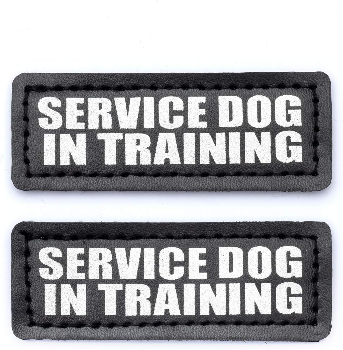 therapy dog in training patch