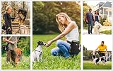 Pecute Large Dog Treat Pouch Bag with Water Bottle Holder Black view 8