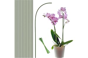 STROLLER 20Pcs Plant Stakes,Plant Sticks,Garden Green Bendable Single Stem Plant Support Stakes for Indoor and Outdoor Plants,Potted Plants,Flowers Orchid Peony Rose-18 Inches