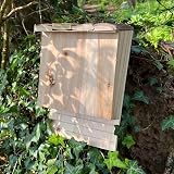 Selections Large Wooden Bat Box Roosting Nesting Single Chamber Grooved Interior view 2