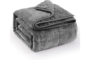 Pawque Sherpa Fleece Weighted Blanket 15lbs Queen Size 60 x 80 Inches, Thick Fuzzy Warm Blanket for Adults, Cozy Fluffy Plush Flannel Reversible Weighted Blanket for Bed Couch Chair, Dual Side Grey
