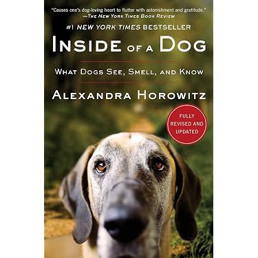 Amazon Best Sellers: Best Dog Training