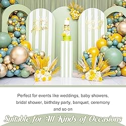 Chiara Spandex Fitted Wedding Arch Backdrop, Round
