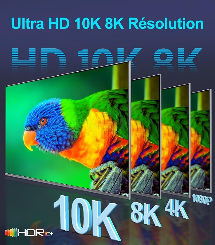 10K 8K 4K Câble HDMI 2.1 48Gbps 1M Certifié Ultra Haute Vitesse