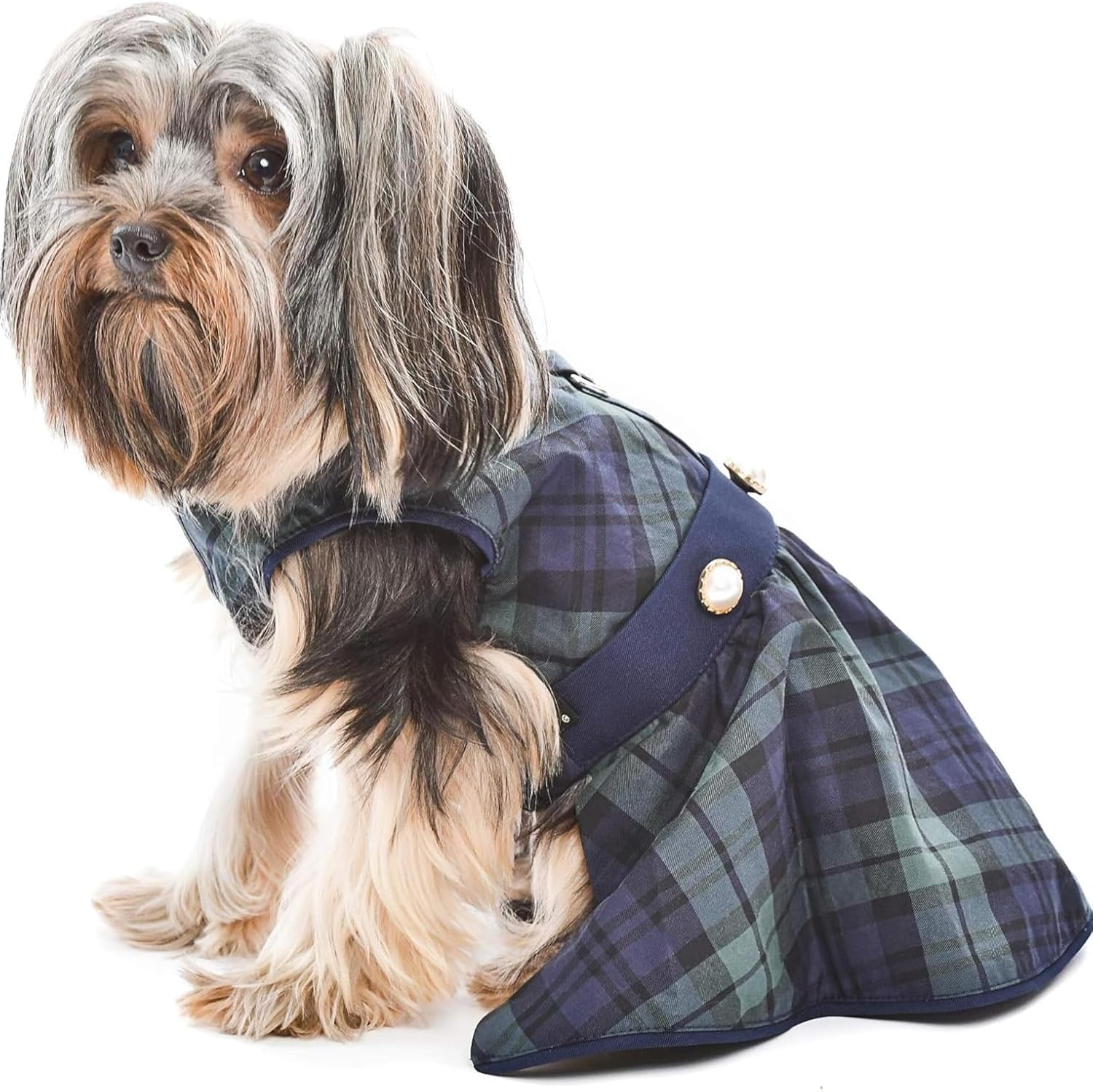 Parisian Pet Designer Scottish Green/Blue Plaid Dog Dress Holiday Party Special Occasion Photography