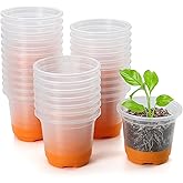 MIXC Thickened Clear Nursery Pots with Silicone Base for Easy Transplant 30 Packs 4 Inch, Transparent Plant Pot Reusable Seedling Pots for Vegetable Propagation, Root Cutting, Seed Starting, Orange