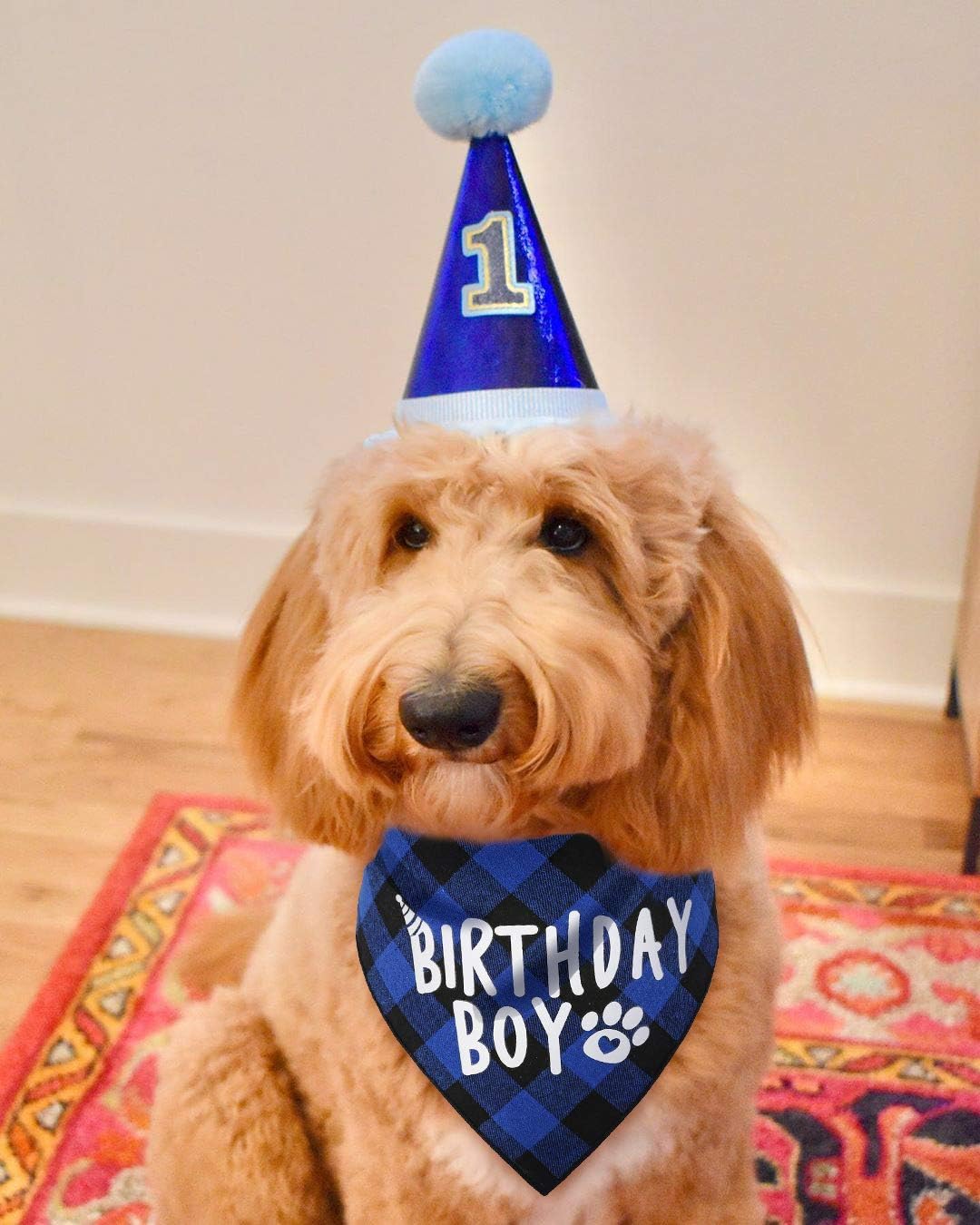JPB Dog Birthday Boy Bandana : Pet Supplies
