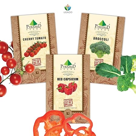 Pyramid Seeds Exotic Vegetable Seeds Combo Of Red Cherry Tomato, Broccoli, Red Capsicum