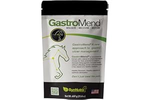 SYNNUTRA EQUINE GastroMend® Gastrointestinal Health Supplement for Horses, 100% Natural, Promotes Stomach and Gut Health in Equines, Cost-Effective Digestive Wellness, 60 Servings per Pouch, Made in The USA