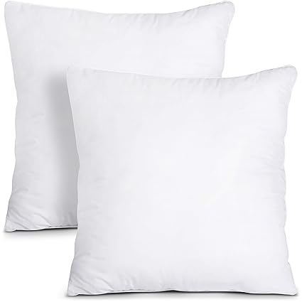 Buy Decorative Pillow Insert 2 Pack White Square 18x18 Sofa