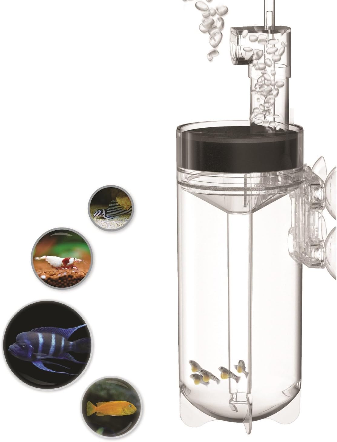 Breeding Tanks Fish & Aquatic Pets Zet65 Ziss egg Tumbler Incubator