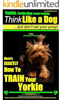 groveshire yorkshire terriers