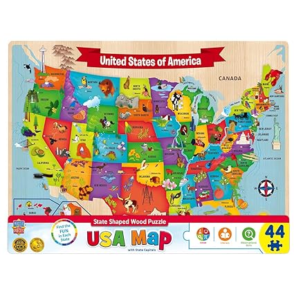 MasterPieces USA Wood Map