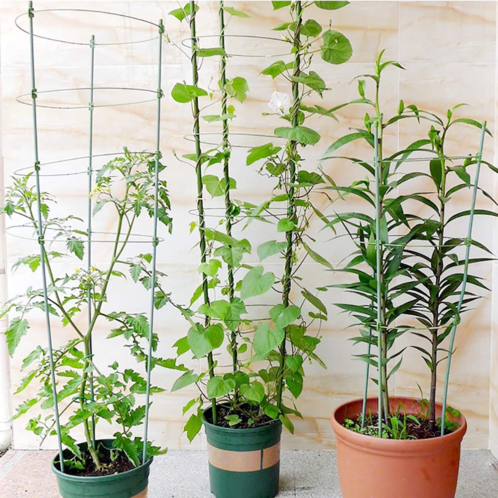 ecotrellis Mini enrejado jardín enrejado planta apoyo 5 Sets verde ...