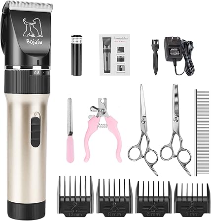 best dog crate for labs