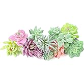 WOHSEROM 12 Pack Realistic Flocked Artificial Succulents, Faux Plastic Succulents Mini Fake Plants for Garden Craft, Cake, Party, Indoor/Outdoor Decor (Unpotted, PVC, Lifelike Details)