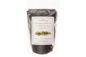 Broccoli Seeds for Sprouting & Microgreens | Waltham 29 Variety | Non GMO & Heirloom Seeds | Bulk 1 LB (16 oz) Resealable Bag | Rainbow Heirloom Seed Co.