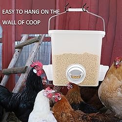 Automatic Chicken Feeder Chicken Feed Container