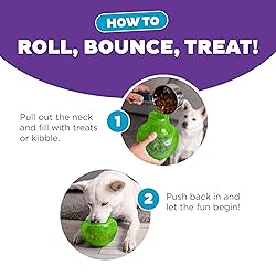 Outward Hound Large Snoop Interactive Treat