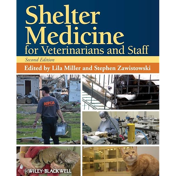 Canine and Feline Respiratory Medicine: Johnson, Lynelle R