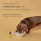 RESCUE Pet Dropper 10ml Calming Drops for Dogs & Cats | Flower Essences view 2