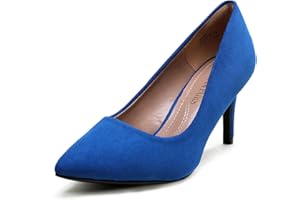 DREAM PAIRS Women's High Stiletto Heels Closed Pointed Toe Dress Pumps Shoes for Wedding Work Office Business, 3 Inches