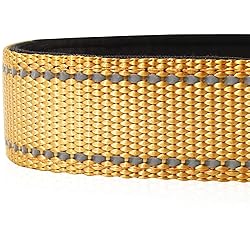 Joytale Reflective Dog Collar,Soft Neoprene Padded